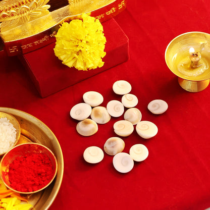 Gomti Chakra
